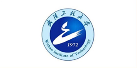武汉工程大学